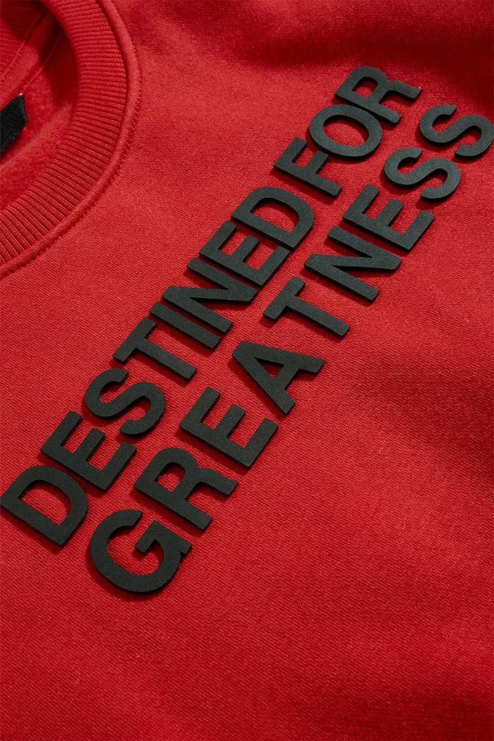 Kid's Destined For Greatness Crew Neck Sweatshirt