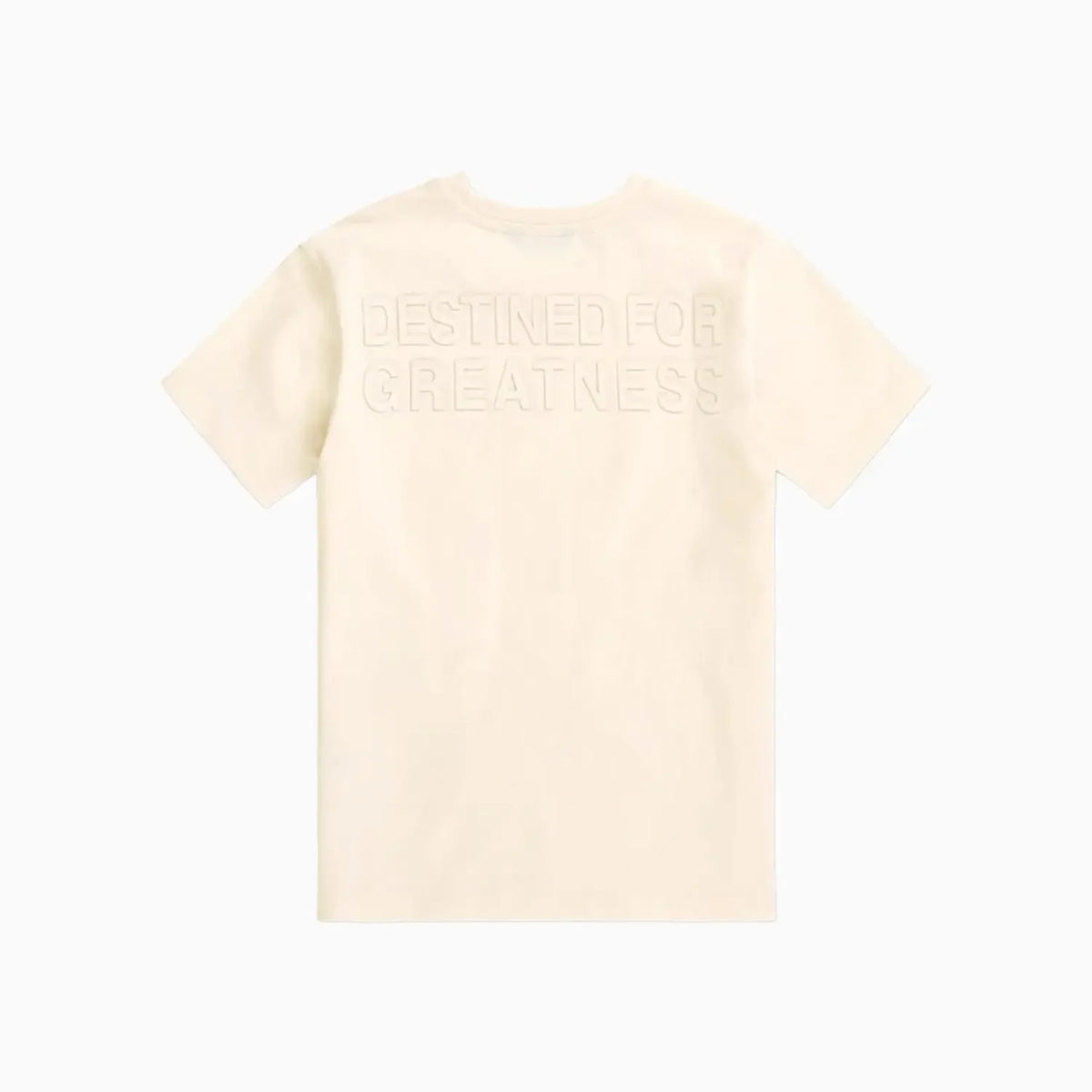 Kid's Destined For Greatness T-Shirt and Shorts Outfit