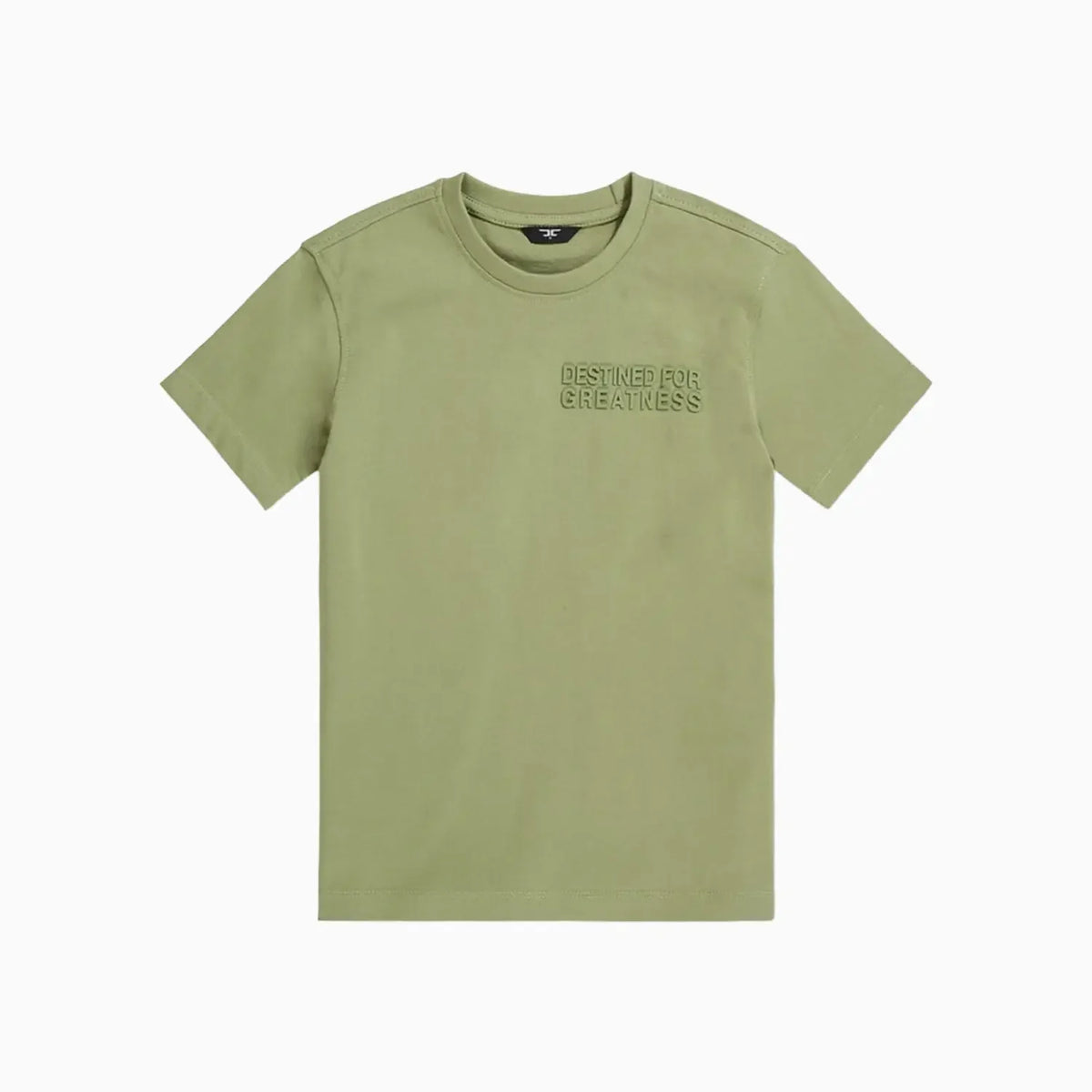 Kid's Destined For Greatness T-Shirt and Shorts Outfit